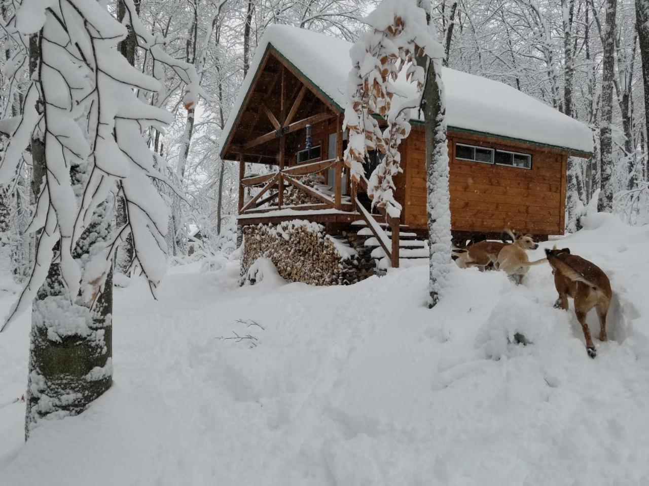 Les Cabines Nordik Des Piles Villa Saint-Jean-des Piles Exterior photo